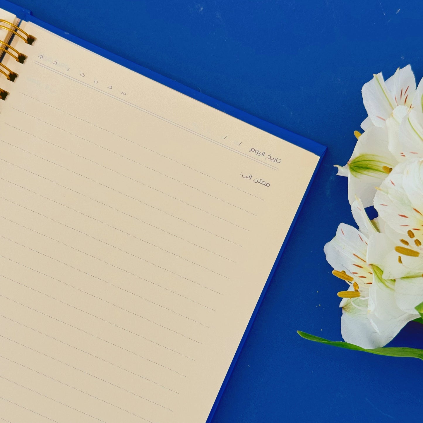 Gratitude Kit - Blue