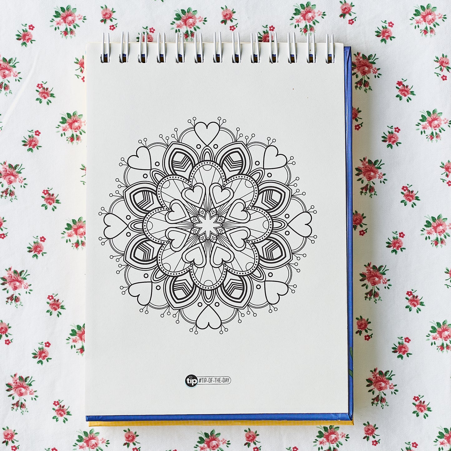 نوت بوك دون أحلامك بسلك