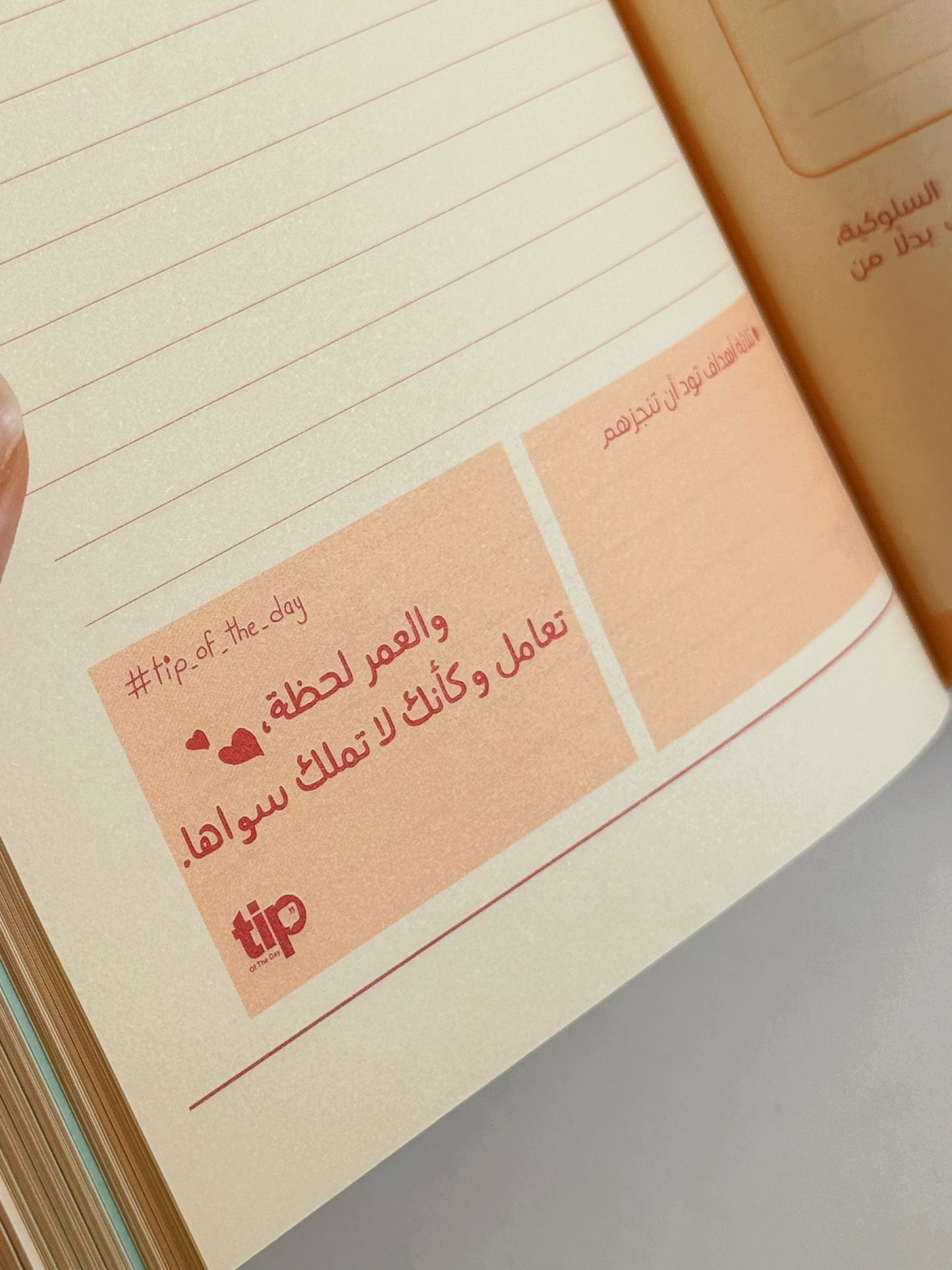 Bundle Box Weghtak El Talya - Tiger + Mug