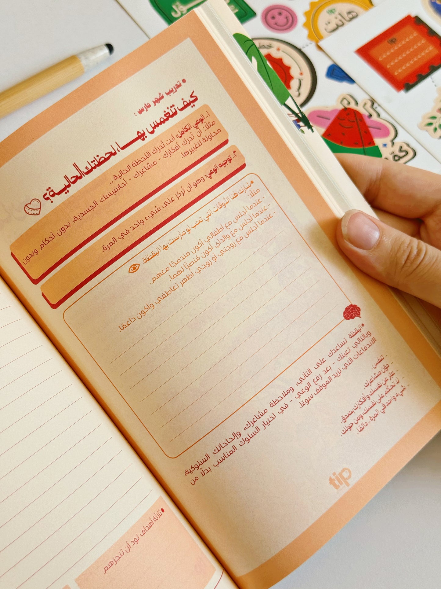 Bundle Box Weghtak El Talya - Tiger + Mug