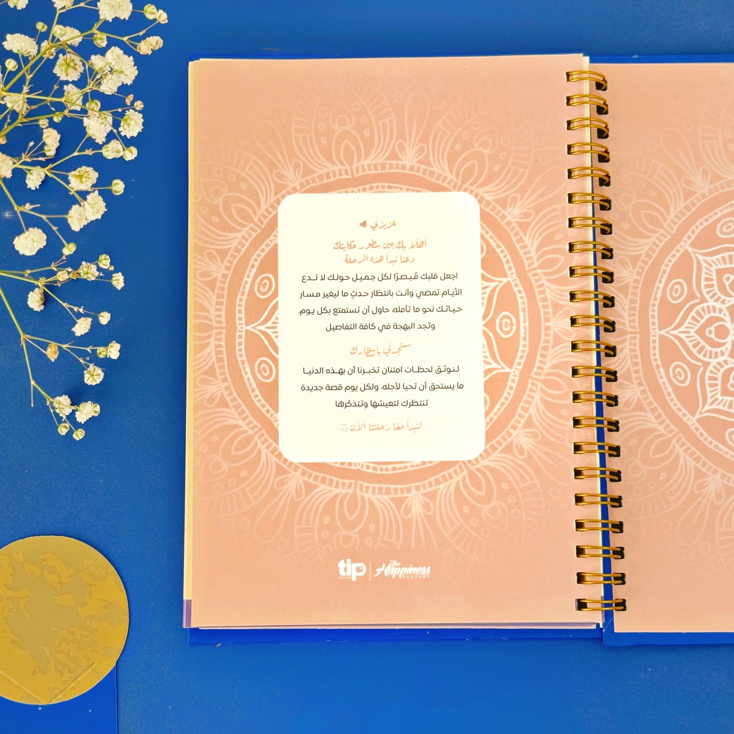 gratitude-notebook-blue